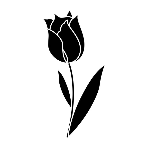 beauty tulip flora nature pictogram - Vector, Image