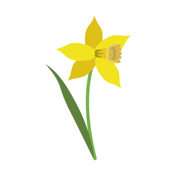flor de folha de flor de narciso
 - Vetor, Imagem