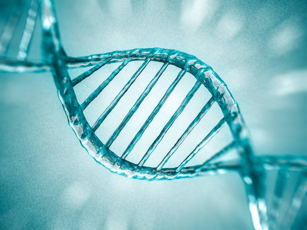 Digitaalinen kuva DNA-mallista. 3D-renderointi
 - Valokuva, kuva