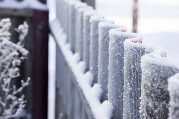 Волнистый забор, покрытый морозом в перспективе
 - Фото, изображение