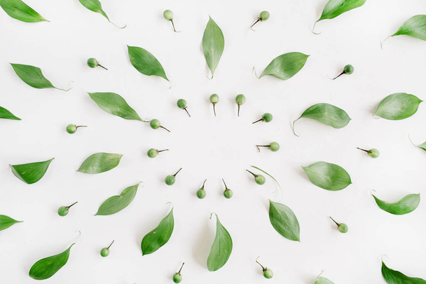 Rama wieniec zielony liści  - Zdjęcie, obraz