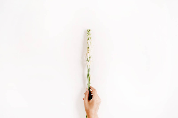Girl's hand holding white flower - Фото, зображення