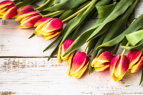 Bouquet of tulips, spring background for women's day - 8 march or card for mother's day - Fotografie, Obrázek