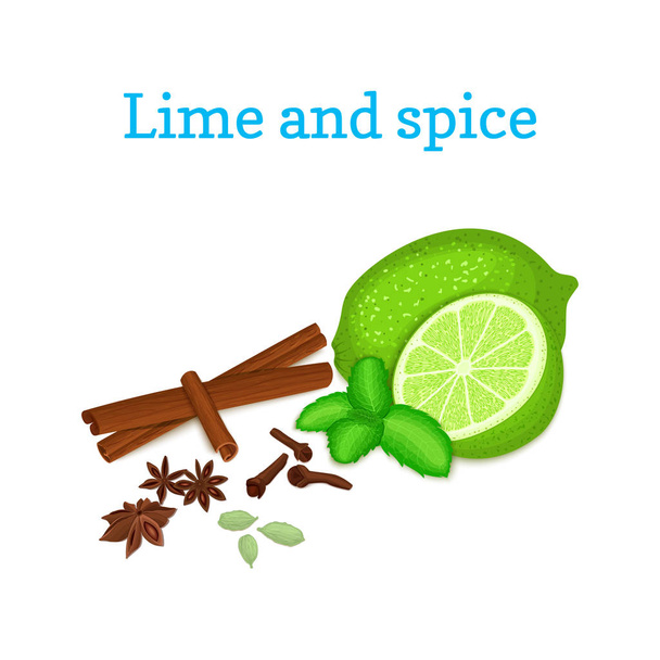 Vector composition of citrus lime fruit with spice. Tropical green lime fruit with fresh mint leaves anise cinnamon cloves cardamom for the packaging of juice, breakfast, healthy eating, vegetarianism - Vector, Image