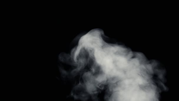Fumo di fuoco dal basso verso l'alto sfondo nero
 - Filmati, video