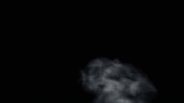 Vuur rook van Bottom-Up zwarte achtergrond - Video