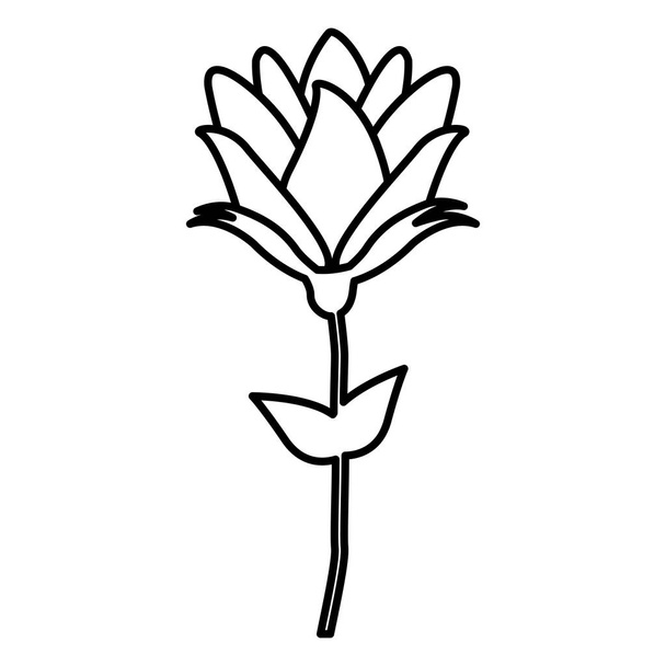 rozen pictogram stock beeld - Vector, afbeelding