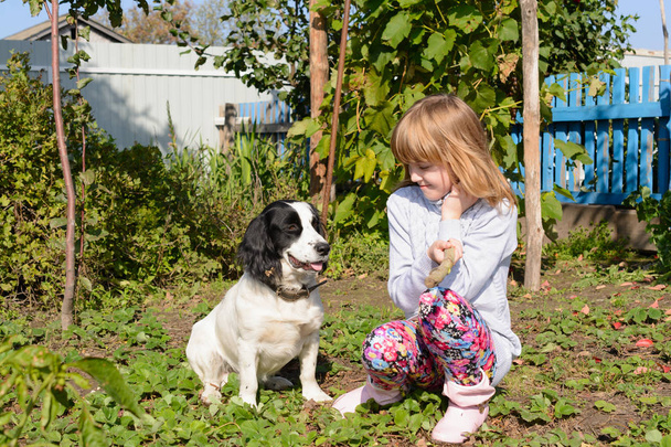 女の子の犬の訓練 - 写真・画像