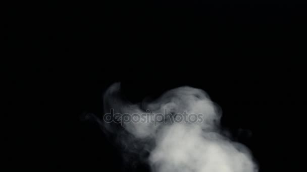 Kouř požáru zdola nahoru černém pozadí - Záběry, video