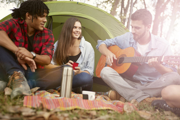 Friends camping together - 写真・画像
