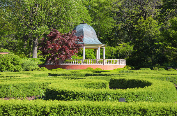 Saint Louis kasvitieteellinen puutarha kesällä
 - Valokuva, kuva