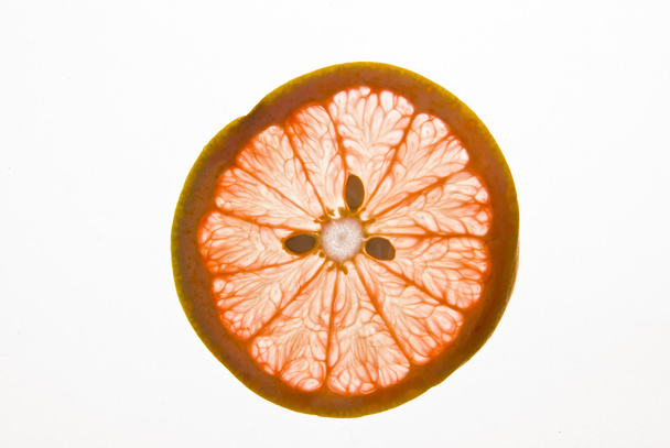 Grapefruit - Fotografie, Obrázek