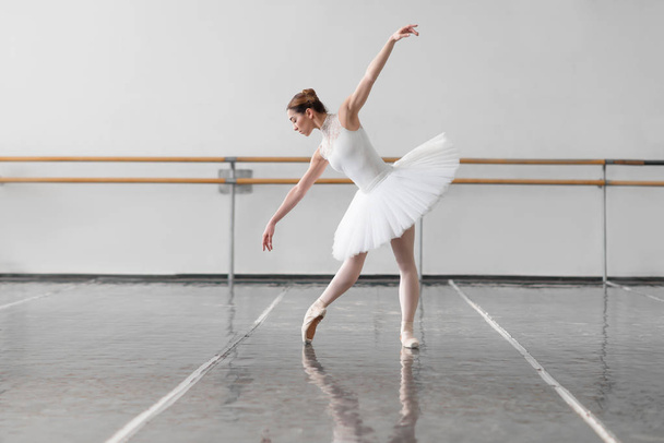 elegantní a krásná baletka - Fotografie, Obrázek