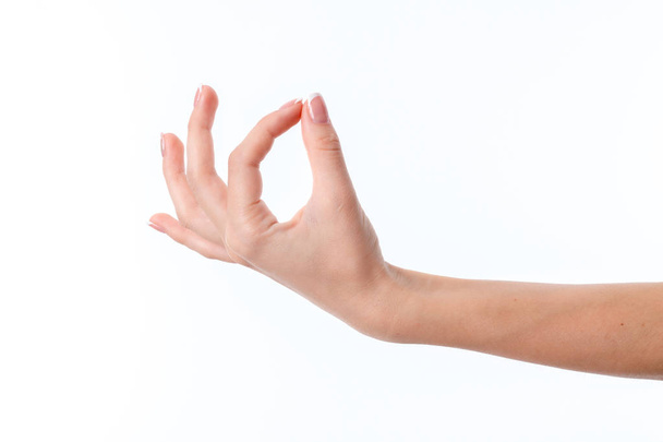female hand stretched upward with clenched fingers isolated on white background - Valokuva, kuva