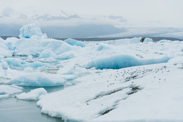 glacier lagoon in Iceland - Foto, Imagem