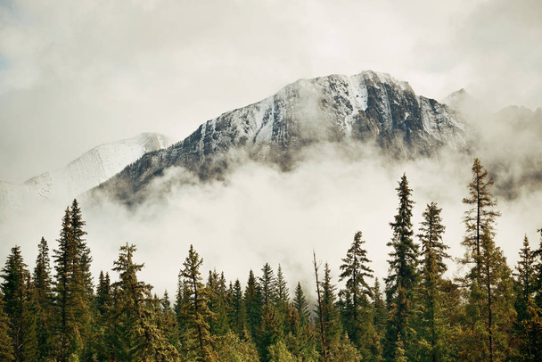 Banff National Park - Fotó, kép