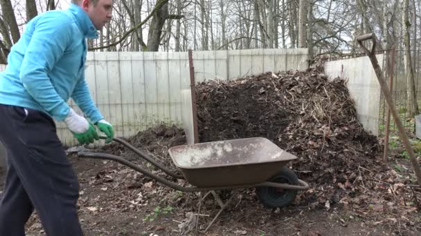 rolnik człowiek z widelcem załadować humus zgniłe kompostu do barrow. 4k - Materiał filmowy, wideo