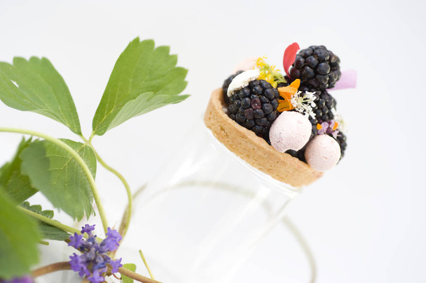 Blackberries mini pie
 - Фото, изображение