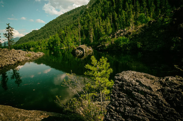 summer mountain lake with volcanic stones and wood on the bank - Foto, Imagem