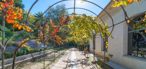 Ηλιόλουστο κήπο πάρκο διάβαση πεζών στη Μαδρίτη.   - Φωτογραφία, εικόνα