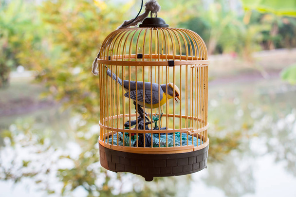 bird cage, selective focus - Zdjęcie, obraz
