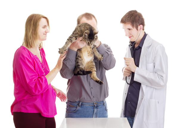 beim Tierarzt - Foto, Bild