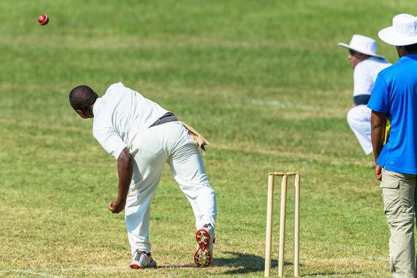 Cricket Game Action Bowler Bowling Batsman - Photo, Image