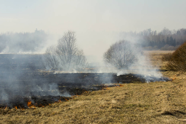 Весенний огонь. Горящая трава. Фон полевого дыма
 - Фото, изображение