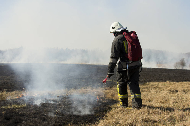 pompiers combattent un feu de forêt au printemps
 - Photo, image