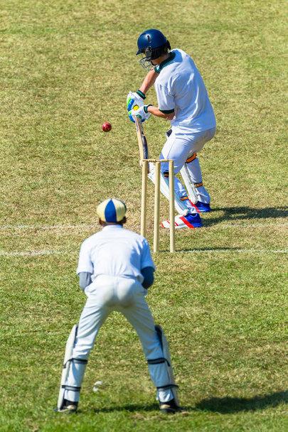 Kriketti Batsman Wicket Keeper Game Action
  - Valokuva, kuva