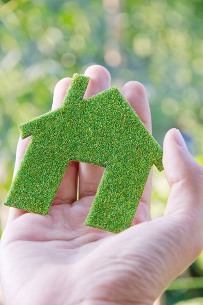 Yeşil ev simgesini - Fotoğraf, Görsel