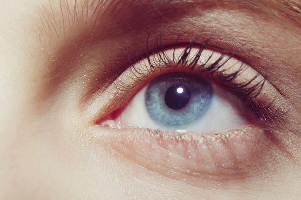 Beautiful female blue eye - Fotoğraf, Görsel