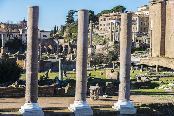 イタリア、ローマのパラティーノのローマ時代の遺跡 - 写真・画像