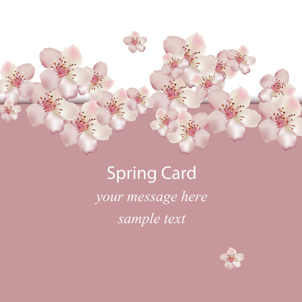 Cherry flowers blossom spring card Vector illustration. Delicate decor for anniversary, wedding, birthday, events. - Vektör, Görsel
