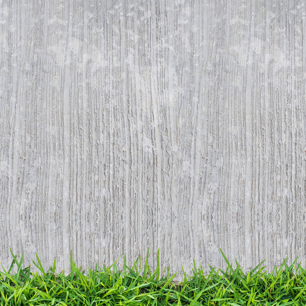 Vintage background of concrete texture and green grass. - Photo, image
