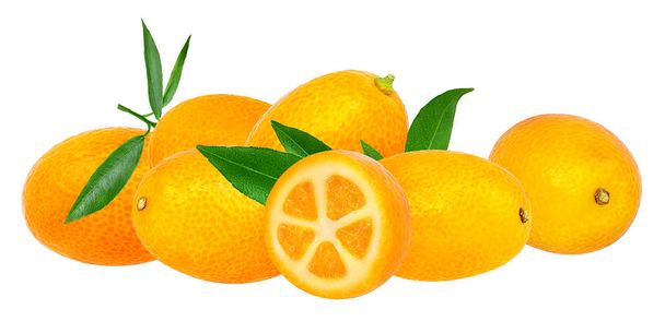 kumquat isolé sur blanc
  - Photo, image
