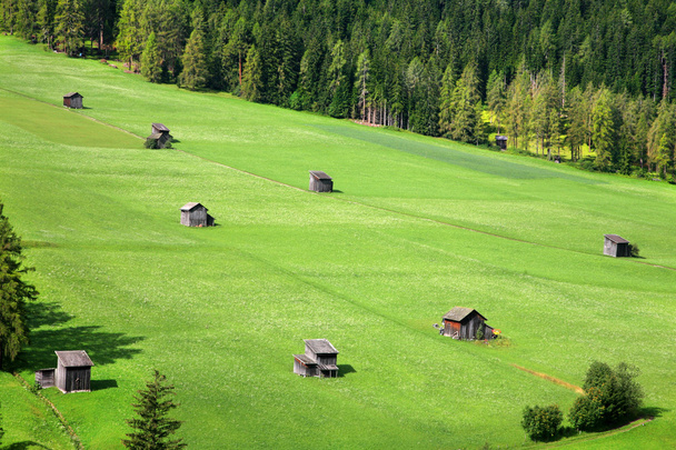 zielone pastwiska - Sesto - Włochy - Zdjęcie, obraz
