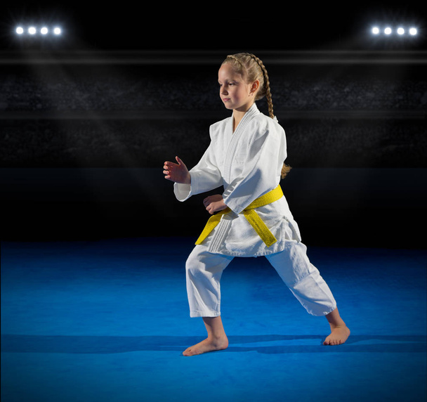 Girl martial arts fighter - Zdjęcie, obraz