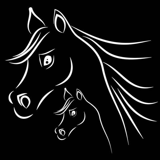 Cabezas de caballo sobre fondo negro
 - Vector, imagen