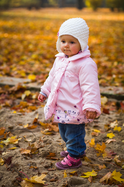 Infant baby girl in golden autumn park - Φωτογραφία, εικόνα