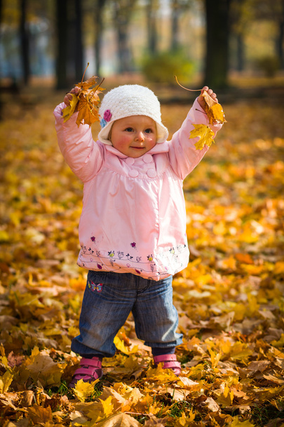 Infant baby girl in golden autumn park - Foto, imagen