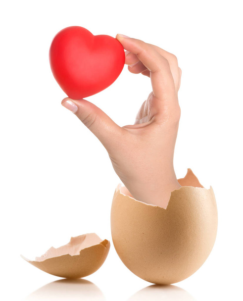 Mano con uovo rotto isolato su sfondo bianco
 - Foto, immagini