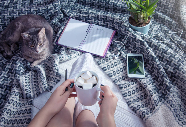 Writing goals with cat and morning coffee - Valokuva, kuva
