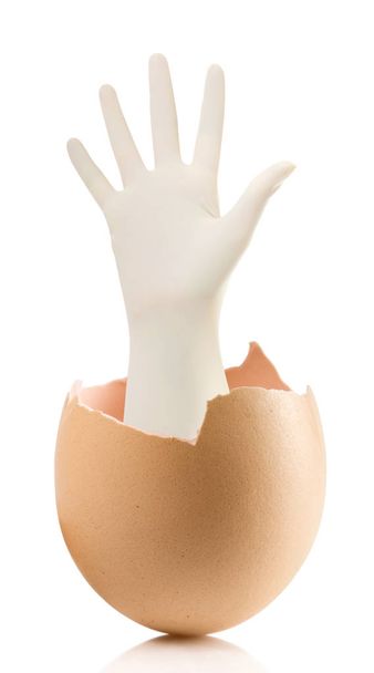Mão com ovo quebrado isolado no fundo branco
 - Foto, Imagem