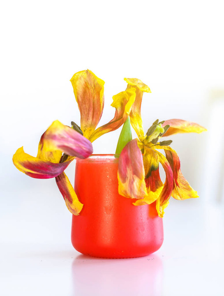 Dos tulipanes muertos en jarrón rojo
 - Foto, Imagen