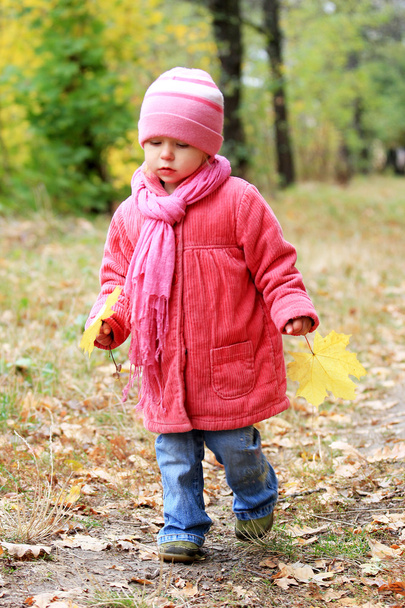 A beautiful little girl in autumn park - Foto, Imagem