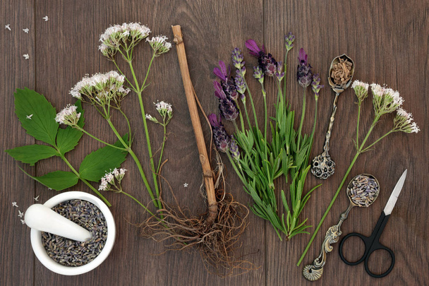 Lavendel und Baldrianblüten - Foto, Bild