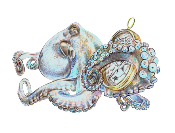 octopus with compass - Fotoğraf, Görsel