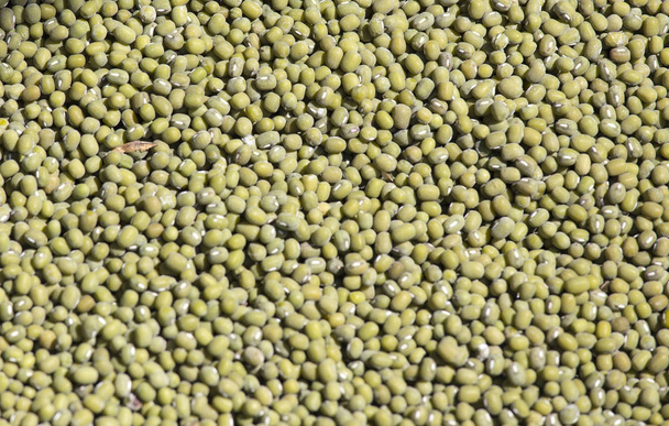 Mung Beans, tiro de close-up detalhado
  - Foto, Imagem