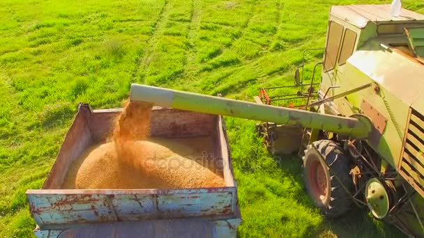 VISTA AERIAL. Maquinaria agrícola trabajando en campo verde en el momento de la cosecha
 - Metraje, vídeo